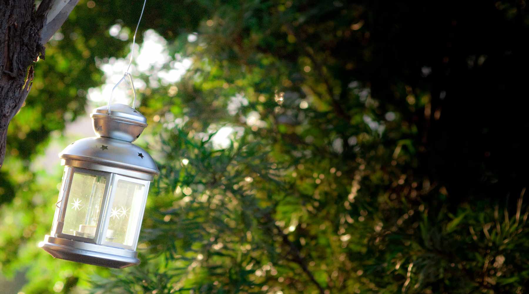 Wedding lamp at Whispering Brook