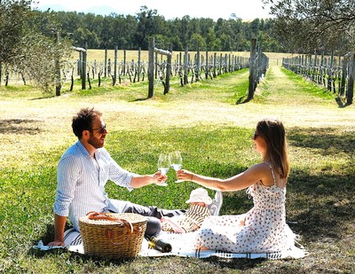 Couple enjoying a picnic in the Whispering Brook olive grove